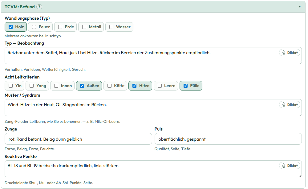 TCVM-Befund mit Wandlungsphase Holz, acht Leitkriterien, Zunge, Puls und reaktiven Punkten