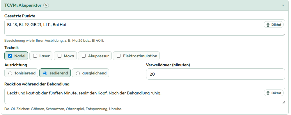 Akupunktur mit gesetzten Punkten, Technik Nadel, sedierend, 20 Minuten und Reaktion
